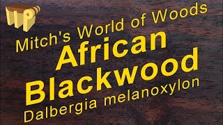 African Blackwood dalbergia melanoxylon  Mitchs World of Woods [upl. by Rebliw]