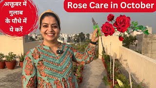 How and When to Prune Rose Plant  अधिक गुलाब पाने के लिए ऐसा करें shorts [upl. by Merrel]