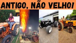 TRATORES ANTIGOS Os brutos que fizeram a história da agricultura ainda vivem [upl. by Bathulda378]