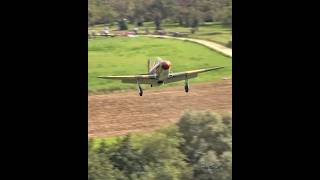 Yakovlev Yak9 smooth landing on grass warbirds aircraft avgeek landing [upl. by Brelje]