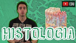 Biologia  Histologia  Visão Geral para o Enem e Vestibulares [upl. by Heda]