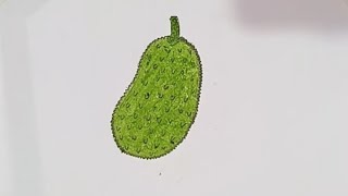 How to Draw jackfruit  Fruit Drawing [upl. by Bokaj]