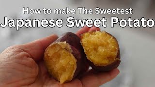 How to Bake the Best Sweetest Japanese Sweet Potatoes Easy amp Delicious amp Healthy Snack [upl. by Anny]