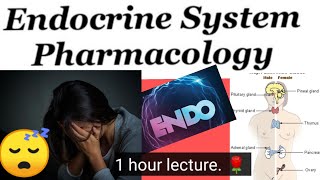 ENDO PHARMACOLOGY LECTURE minikatzung pharmacology lectures in 1 hour 🌹 🌹 🌹 [upl. by Nayrbo]