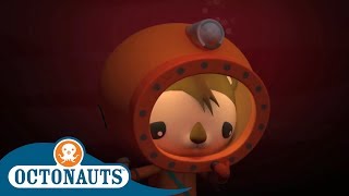 Octonauts  Shellington Discovers a Hidden Lake  Full Episodes  Cartoons for Kids [upl. by Conal]