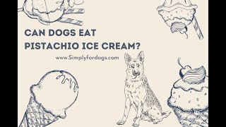 Can Dogs Eat Pistachio Ice cream [upl. by Ocicnarf]