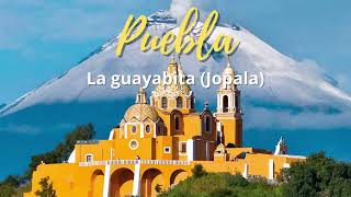 Puebla  La guayabita Jopala [upl. by Erl856]