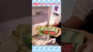 韓国ファンシーペンケース「スイカ🍉」【クレーンゲーム】 [upl. by Atikehs884]