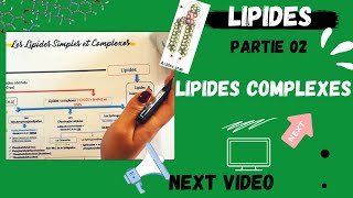 📣4 Les Lipides Partie 02  Les Lipides COMPLEXES اقوى شرح لللبيدات😍 LIPIDSMEDECINE BIOLOGY [upl. by Erej869]