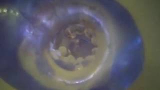 Fleshlight Fleshskins Grip blue ice  inside cam [upl. by Morice]