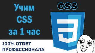 Учим CSS за 1 час От Профессионала [upl. by Deeanne]