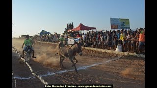 II Corrida de Jericos  Jucá Ferrado SurubimPE [upl. by Ahsram]