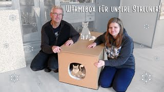 Wärmebox für Katzen bauen  Balkon Garten Tiere [upl. by Eyr]