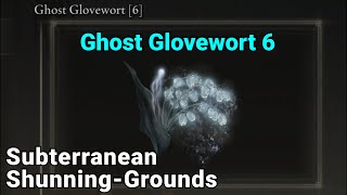 Ghost Glovewort 6 Location  Subterranean ShunningGrounds  Elden Ring [upl. by Kania248]