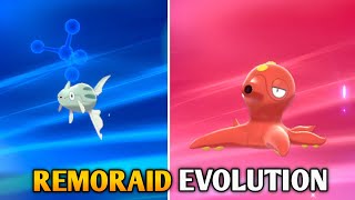 How To Evolve Remoraid Into Octillery In Pokemon Sword amp Shield  Galar Pokedex [upl. by Ttam]