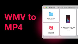 How to Convert MP4 to WMV Files in 2 Minutes 🚀 [upl. by Ophelia524]