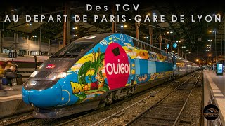 Des TGV au départ de ParisGare de Lyon [upl. by Kielty]