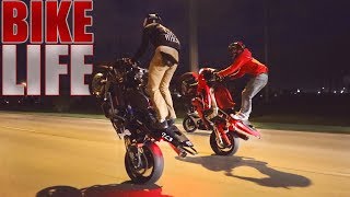 STUNT RIDE  Cops N Crashes [upl. by Gove701]