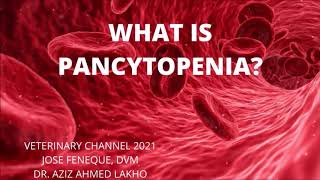 Pancytopenia  A Quick Review For The Veterinary Student [upl. by Leehar790]