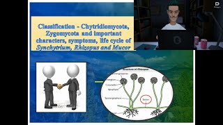 Chytridiomycota amp Zygomycota  Symptoms and life cycle of Synchytrium Rhizopus amp Mucor [upl. by Atoiyanap659]