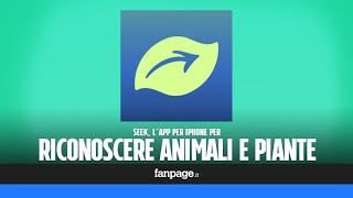 Con questa app potrai riconoscere piante e animali [upl. by Alarice]