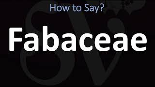 How to Pronounce Fabaceae CORRECTLY [upl. by Ellen]