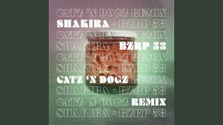 Shakira  Bzrp 53 Catz N Dogz Remix [upl. by Socem]