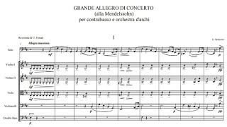 Giovanni Bottesini  Grande allegro di concerto quotAlla Mendelssohnquot [upl. by Reinwald278]