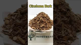 Cinchona Bark [upl. by Stets]