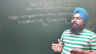 Morphology of Flowering Plants Lecture 05 [upl. by Romy]