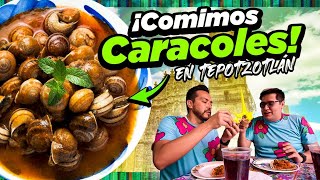 Deliciosos y Exóticos CARACOLES en TEPOTZOTLÁN [upl. by Cherey]