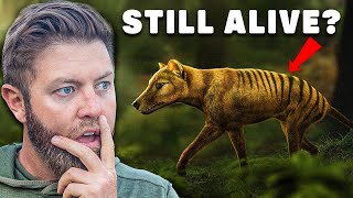 Why I Believe The Tasmanian Tiger Is Still Alive [upl. by Neemsaj348]