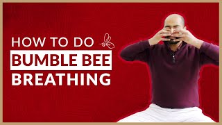 Bhramari Pranayama Beginner’s Guide to Bumblebee Breathing  Arhanta Yoga [upl. by Harper]