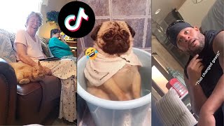 Funny Fart  Tik Tok Meme Compilation 2020 [upl. by Augusto]