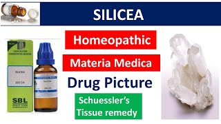 Silicea Drug Picture  Materia Medica  Homeopathy bhms silicea materiamedica drugpicture [upl. by Airtemad]