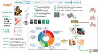 Contraception Review [upl. by Ahsets]