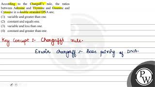 According to the Chargaff’s rule the ratios between Adenine and Thymine and Guanine and Cytosin [upl. by Iren]