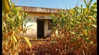 Esposa Trabalhava em um CabarÃ© E Foi Resgatada do Marido Pelos Cantores de Folia de Reis [upl. by Herr242]