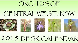 Orchids of Central West NSW 2015 [upl. by Karon231]