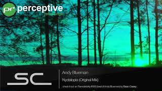 Andy Blueman  Nyctalopia Original Mix [upl. by Eicyak431]