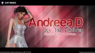 Andreea D  Its Your Birthday Official Single [upl. by Asemaj444]