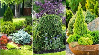 Transform Your Yard 🍀 Evergreen Landscape Design Ideas for YearRound Beauty [upl. by Aztilay496]