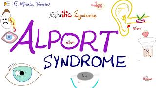 Alport Syndrome  Nephritic  5Minute Review Series [upl. by Virginia954]