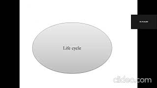 Life cycle of Leishmaniasis [upl. by Nitnilc886]