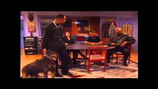 Martin Famous Dog Scene Best Quality [upl. by Idnaj]