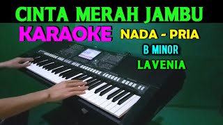 CINTA LAHIR BATIN  Lavenia  KARAOKE Nada Pria HD [upl. by Pillihpnhoj]