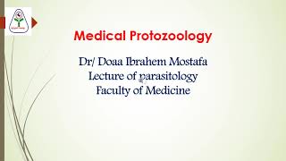 شرح محاضرة الباراسيتولوجي medical protozoology amp entamoeba histolytica [upl. by Ennyletak688]