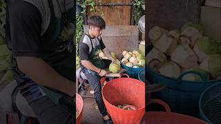 Amazing coconut fruit cutting skills [upl. by Havard]