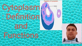 CYTOPLASM  Definition and function ProtoplasmDefinition and function of cytoplasm [upl. by Oramlub]