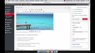 Como usar el Editor de Texto en WordPress [upl. by Ericka]